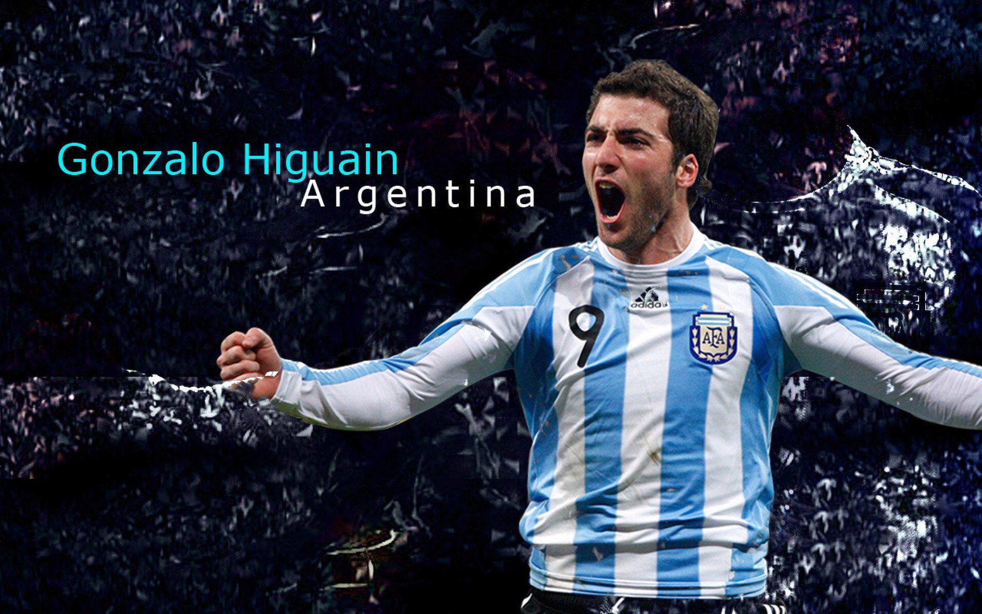 球迷文化盛宴：从欧洲到亚洲的足球狂欢，中国足球球迷文化